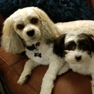 Meet your Posher, Lynne